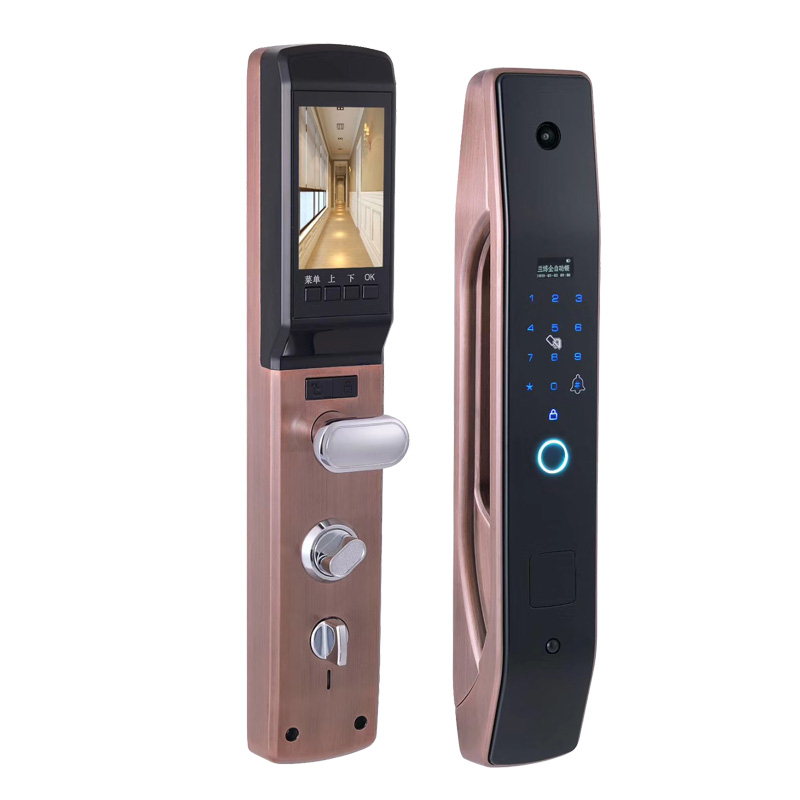 Home Security Locks For Doors - HanDaily Easy to Install Intelligent Electronic