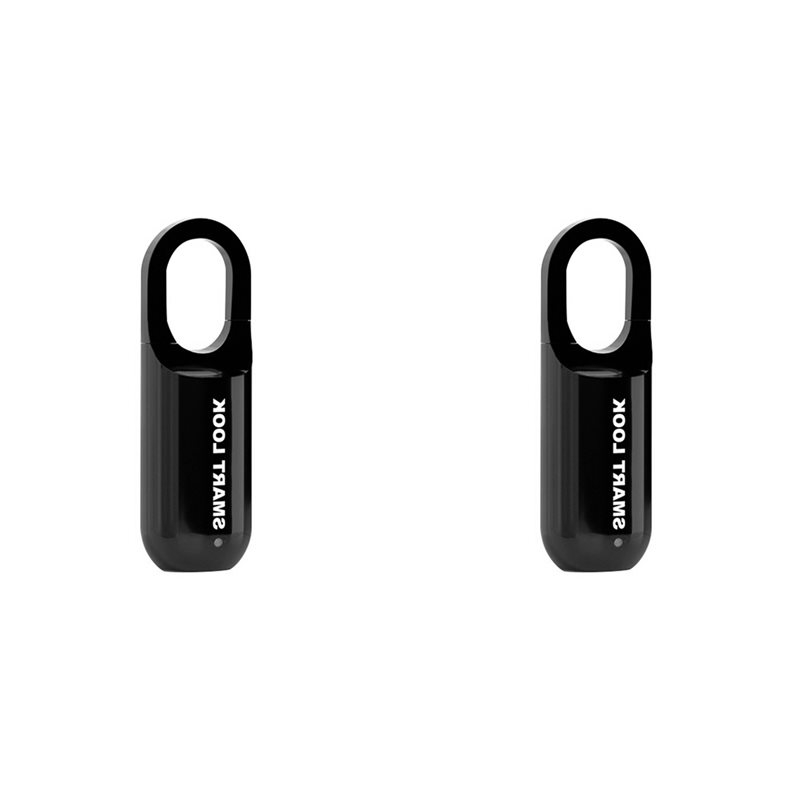 Home Security Locks For Doors - BAAE 2X Fingerprint Padlock M01 Anti-Theft