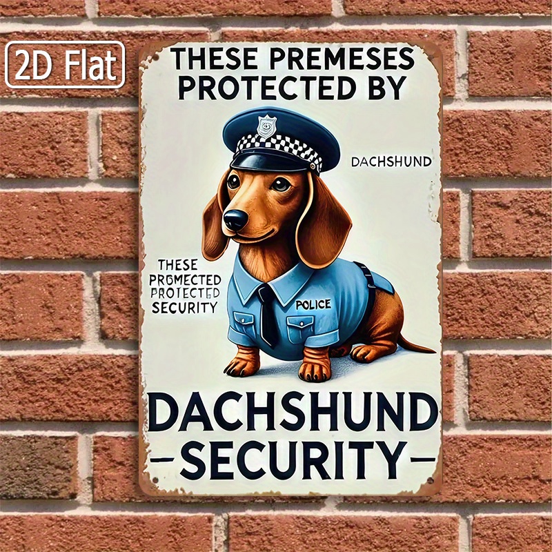 2D Flat, [2D Flat] 1-Piece Fun - Home Security Usa recension och pris