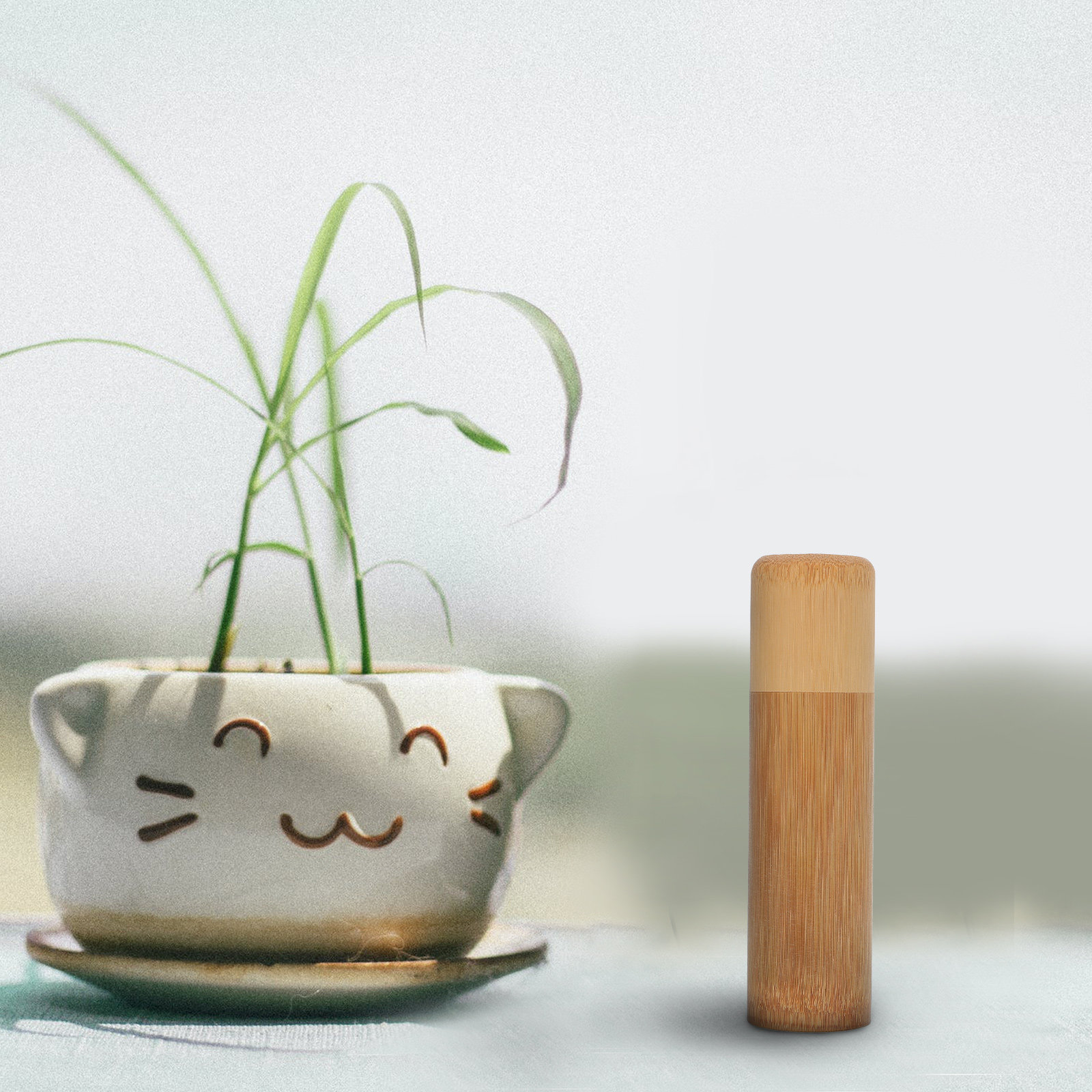 1Pcs Bamboo Incense Storage Tu - Home Security Youtube recension och pris