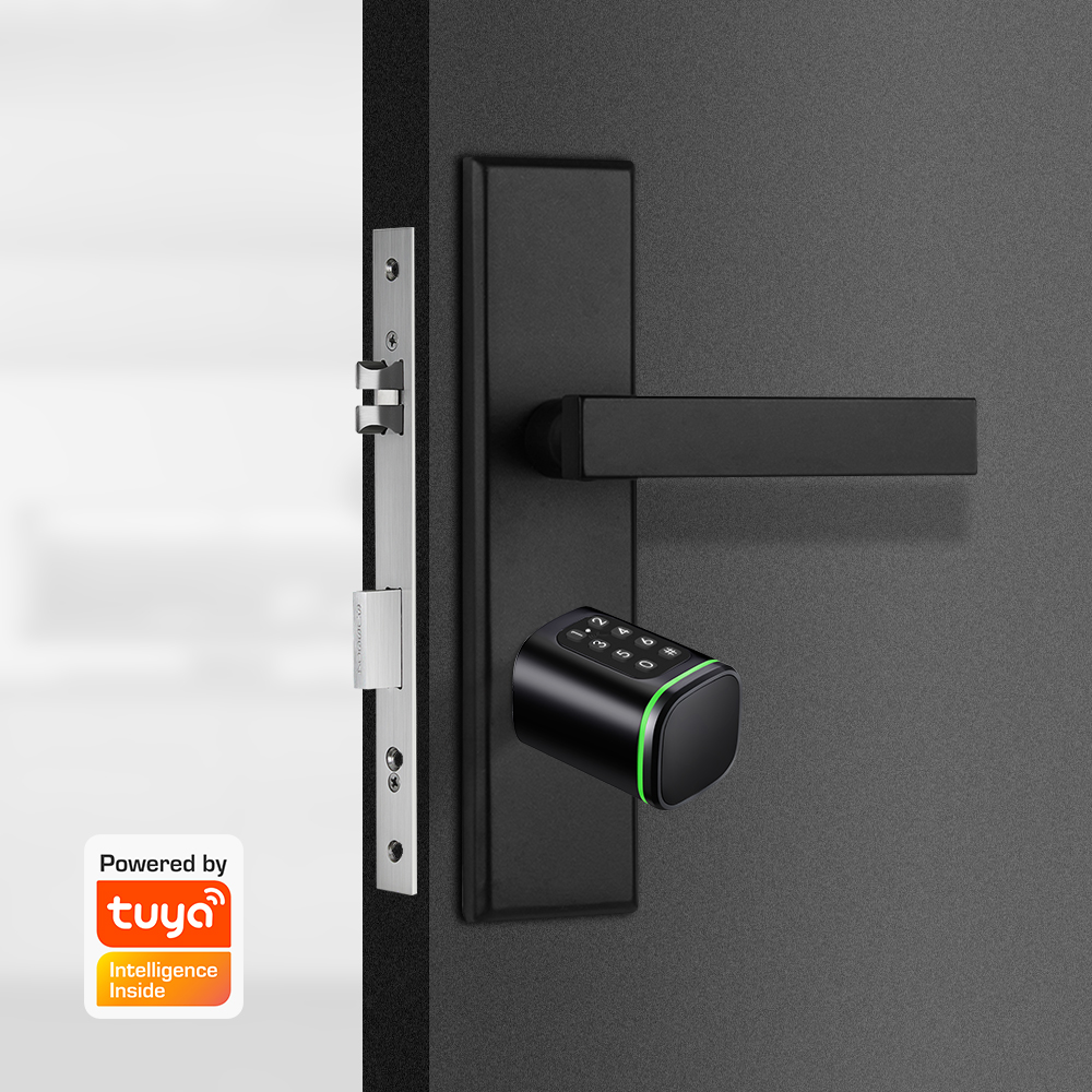 Smart Cylinder Lock Tuya 60-90 - Home Security Ideas recension och pris